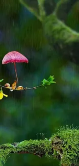 Whimsical nature wallpaper with a pink mushroom umbrella and forest background.