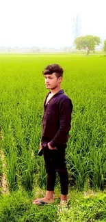 Person standing in lush green field with serene landscape background.