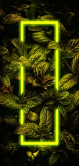 Neon glow leaves wallpaper with green hues.