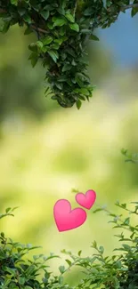 Heart-shaped leaves with pink hearts.