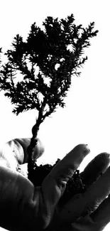 Black and white silhouette of a hand holding a small tree.