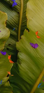 Butterflies fluttering over lush green leaves wallpaper.