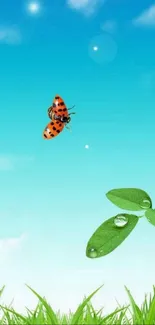 Serene nature wallpaper with sky and ladybug.