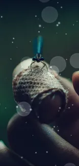 Close-up of a dragonfly resting on a fingertip with a bokeh background.