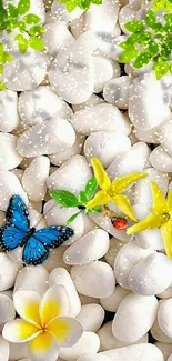 White stones with a butterfly and flowers on wallpaper.