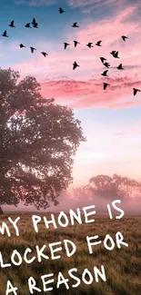 Serene sunset wallpaper with tree and birds flock, text overlay: 'My phone is locked.'