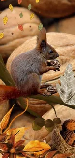 Squirrel on walnuts with autumn leaves background.