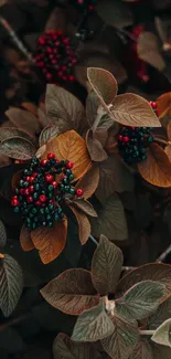 Wallpaper with brown leaves and vibrant berries for mobile background.