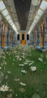 Subway train interior with grassy floor and daisies blooming.