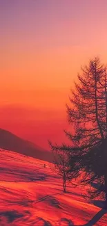 Nature Orange Outdoor Live Wallpaper