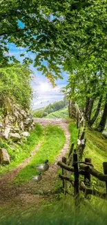 Pathway through lush green forest with scenic views and rustic fence.