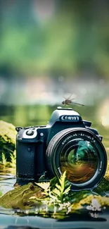 Nature-inspired wallpaper with camera and frog by a pond.