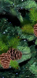 Pinecone and green pine needles wallpaper for mobile.