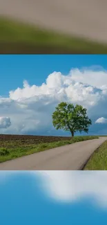 Nature Plant Cloud Live Wallpaper