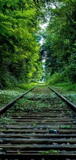 Lush green railway path through trees, nature wallpaper.