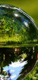 Reflective crystal ball on lush green grass.