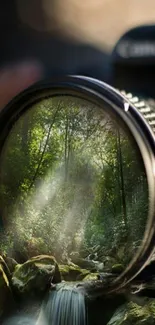 Camera lens with forest and sunlight reflection.