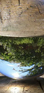 Reflective glass orb capturing lush green nature.