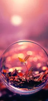 Wallpaper of a plant in a sphere with pink bokeh.