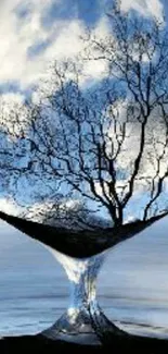 Tree reflection in a glass with a cloudy sky background.