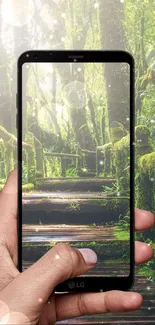 Hand holding a phone showing a forest path on screen.