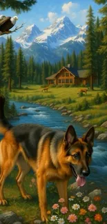 German Shepherd by a mountain stream with forest background