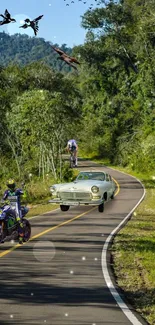 Nature road with vehicles and lush greenery, perfect for adventure lovers.