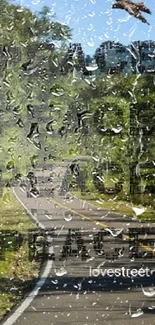 Nature road with peace text and bird flying overhead.