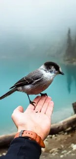 A bird perched on a hand by a turquoise lake.