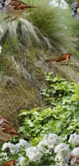 Sparrows amidst vibrant greenery and white flowers.