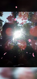 Silhouette in forest with sunlight and pink petals.