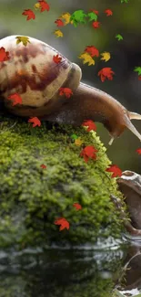 Snail and frog on a mossy rock by water.