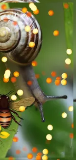 Snail and bee on a green leaf with colorful bokeh dots.