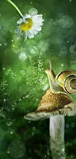 Snail on mushroom with a green forest background.