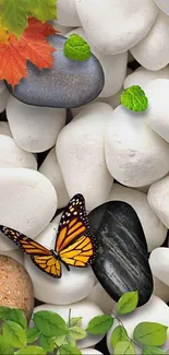 Mobile wallpaper with stones and butterfly design.