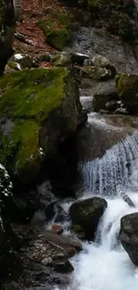 Moss-covered rocky stream with cascading water.