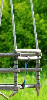 Wooden swing hanging in lush green outdoors.