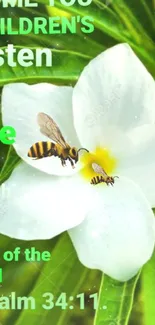 Bees on white flower with Psalm 34:11 quote.