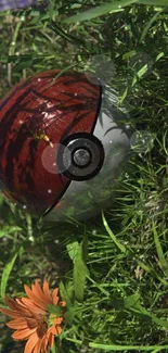 Red Poké Ball in lush grass with vibrant flowers wallpaper.