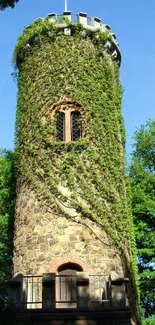 Green ivy-covered tower amidst forest and blue sky.