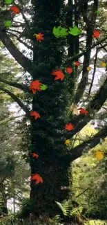 Beautiful forest scene with colorful autumn leaves falling around a tall tree.