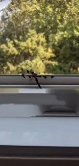 Serene nature view with an insect on window frame.