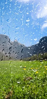 Nature wallpaper with raindrops over meadow and blue sky.