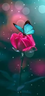 Nature Water Flower Live Wallpaper