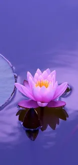 Nature Water Flower Live Wallpaper