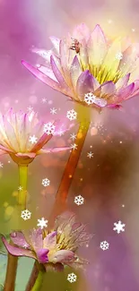 Nature Water Flower Live Wallpaper