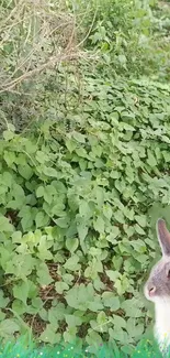 Wallpaper of lush greenery with a rabbit in the corner.