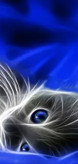 Neon cat art with electric blue tones, highlighting large eyes.