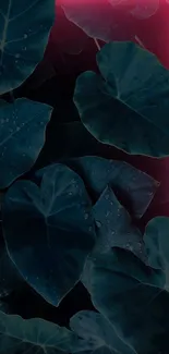 Dark green leaves with neon pink contrast on wallpaper.