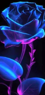 Vibrant neon blue rose with glowing effects on a mobile wallpaper.